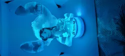 litho lamp lilo and stitch
