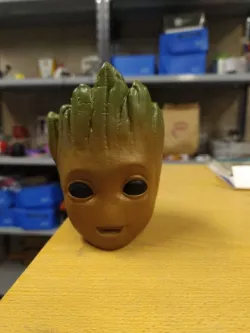 Mate Groot