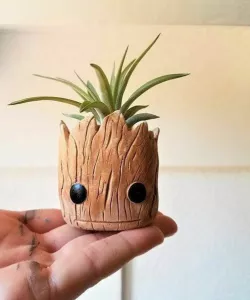 matera baby groot