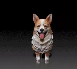 Pembroke Welsh Corgi - DOG BREED - CANINE -3D PRINT MODEL