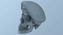 Peruvian Army Beret Skull STL