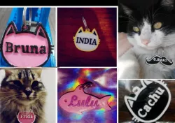 pet dog dog cat identification badges