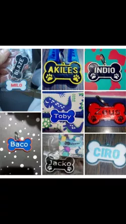 pet identification badges dog dogs cat dogs
