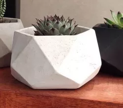 POLY HEXAGON PLANTER