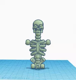 skeleton