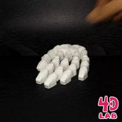 Skeleton Hand (Flexi print-in-place)