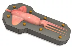 squid