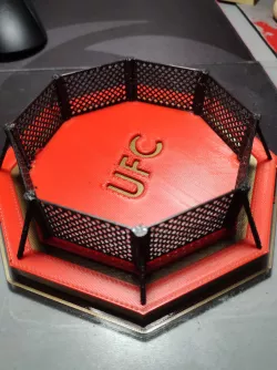 UFC Octagon