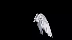Angel Wings Rigged 3D model