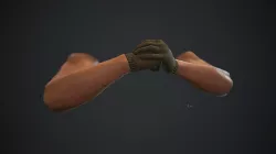 Animated FPS Hands v3 Low-poly 3D model