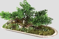 bonsai style hobbit 3D model
