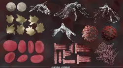 Coronavirus inside blood  the complete PROFESSIONAL BUNDLE 3D model