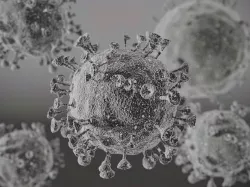 Corono virus 3D model