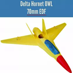 Delta Hornet OWL