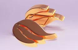 Ear Ring 3D model