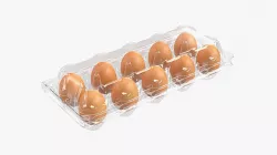 Egg food plastic package 10 eggs v1 3D model