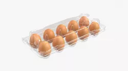 Egg food plastic package 10 eggs v2 3D model