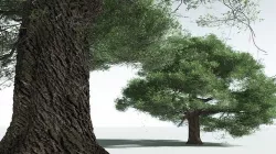 EVERYPlant English Oak 07 --18 Models-- 3D model