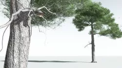 EVERYPlant English Oak 09 --18 Models-- 3D model