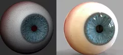 EYEBALL MODEL Low-poly 3D model