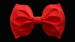 Fabric Bow 3D model