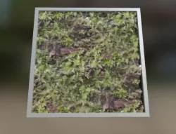 Foam on Wood PBR Texture Texture