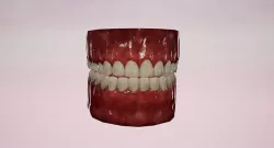 Game Realistic human Teeth - Mouth Set  for character Low-poly 3D model