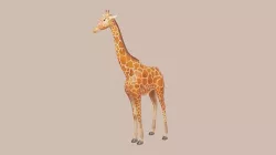 Giraf handpainted not rigged Low-poly 3D model
