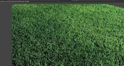 grass  3D model