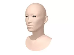 Human head 3D model