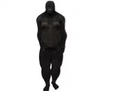 Human Rigged Gorilla Avatar Character Low-poly 3D model