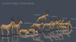 IMPALA POSES Low-poly 3D model