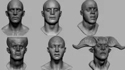 Male Head Collection 3D model
