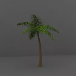 Palm  Tree 3D model