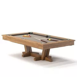 PETALUMA POOL TABLE 3D model