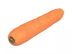 Photorealistic Carrot 3D Scan 2 3D model