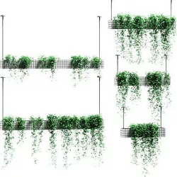 Plants in hanging flower pots - 5 models 3D model