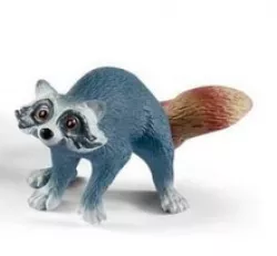 racoon
