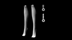Replacement lower legs for Monster High female dolls (articulated)