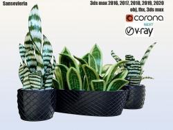 Sansevieria plant 3d models 【 STLFinder