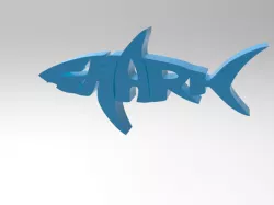 shark