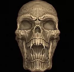 Skull  3D model