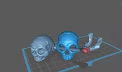 skull and bone