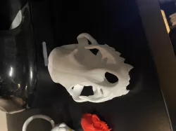 Skull