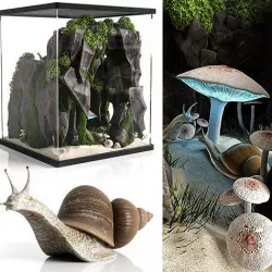 Snail house 3D model