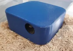 Snake Hide / Hideout
