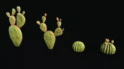 Stylized cactus large low poly Low-poly 3D model Low-poly 3D model