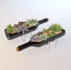 Succulents in a wine bottle 3D model