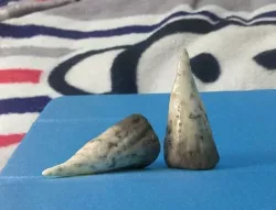 teeth 3D model