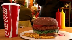 The Burger 3D model